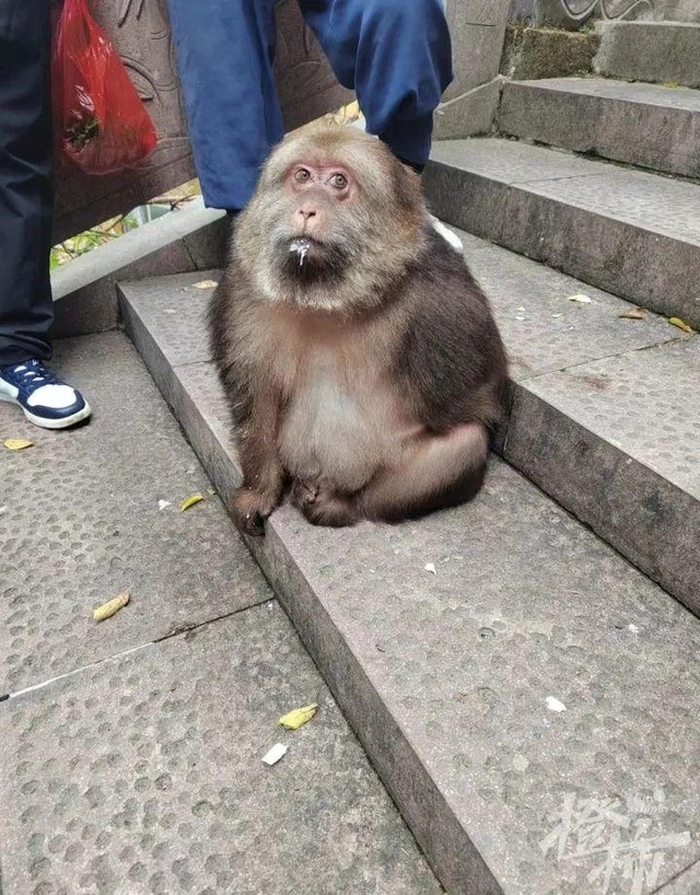 20221030091518166709251892457